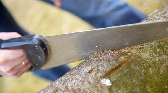 How to cut down a tree with a hand saw - LetsFixIt